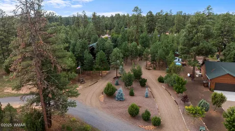 View/Area - 2046 Christmas Pine Rd, Overgaard, AZ 85933 photo 1 of 5