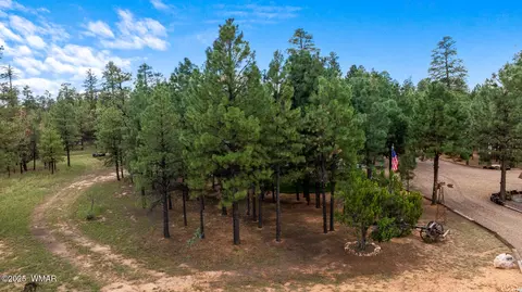 Exterior - 2046 Christmas Pine Rd, Overgaard, AZ 85933 photo 18 of 21