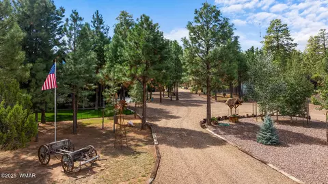 Exterior - 2046 Christmas Pine Rd, Overgaard, AZ 85933 photo 19 of 21