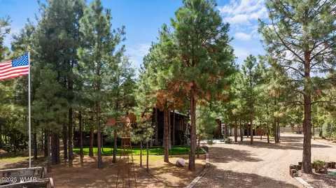Exterior - 2046 Christmas Pine Rd, Overgaard, AZ 85933 photo 20 of 21