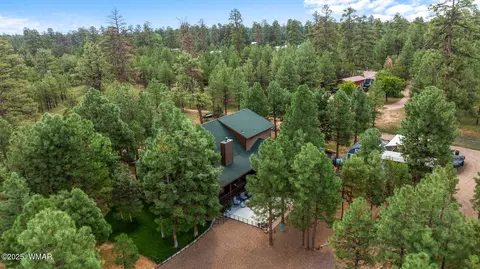 View/Area - 2046 Christmas Pine Rd, Overgaard, AZ 85933 photo 2 of 5