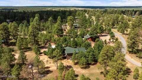 View/Area - 2046 Christmas Pine Rd, Overgaard, AZ 85933 photo 3 of 5