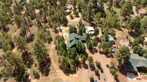 View/Area - 2046 Christmas Pine Rd, Overgaard, AZ 85933 photo 4 of 5
