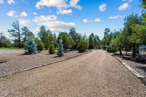 Other - 2046 Christmas Pine Rd, Overgaard, AZ 85933 photo 1 of 16