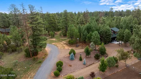 Other - 2046 Christmas Pine Rd, Overgaard, AZ 85933 photo 16 of 16