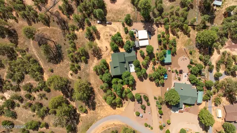 View/Area - 2046 Christmas Pine Rd, Overgaard, AZ 85933 photo 5 of 5
