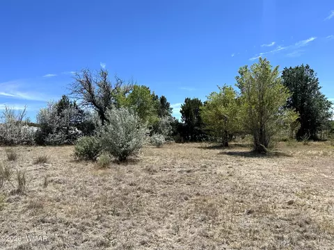 tbd W Central Ave, Eagar, AZ 85925 photo 10