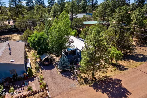 3490 Black Bear Run, Overgaard, AZ 85933 photo 34