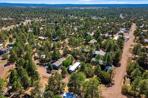 3490 Black Bear Run, Overgaard, AZ 85933 photo 37