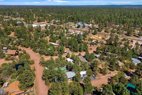 3490 Black Bear Run, Overgaard, AZ 85933 photo 35