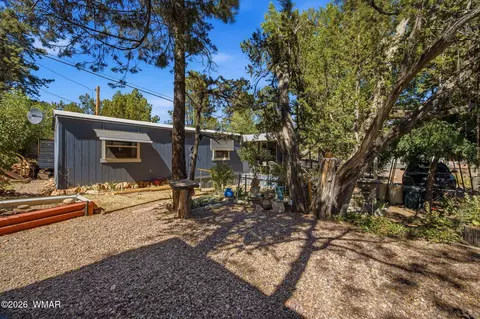 3490 Black Bear Run, Overgaard, AZ 85933 photo 6