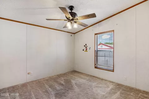 2163 Meadow Ln, Overgaard, AZ 85933 photo 21