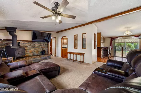 2163 Meadow Ln, Overgaard, AZ 85933 photo 9