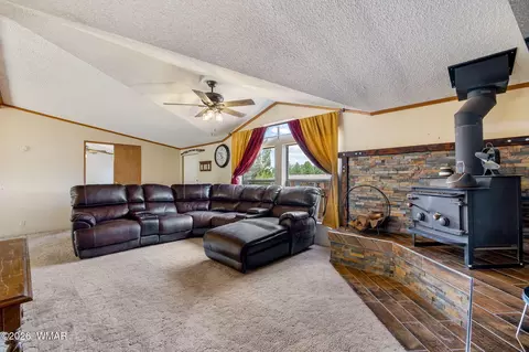 2163 Meadow Ln, Overgaard, AZ 85933 photo 8