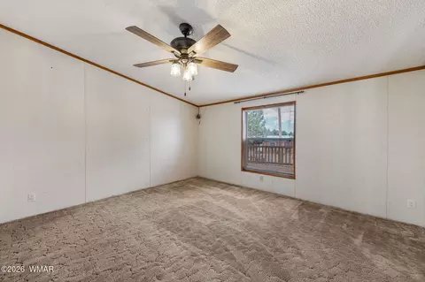2163 Meadow Ln, Overgaard, AZ 85933 photo 19