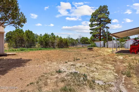 2163 Meadow Ln, Overgaard, AZ 85933 photo 23
