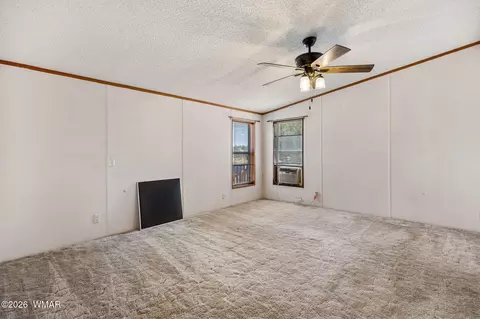 2163 Meadow Ln, Overgaard, AZ 85933 photo 14