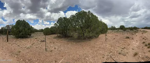 3947 Apache, Snowflake, AZ 85937 photo 3