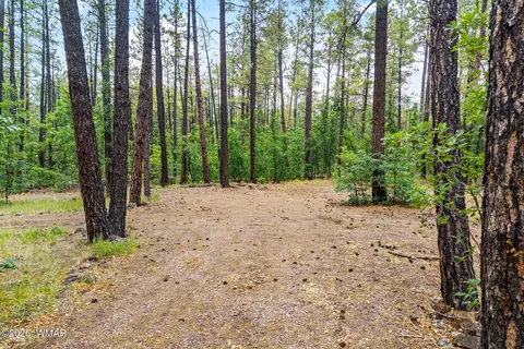 2094 Brown Bear Loop, Pinetop, AZ 85935