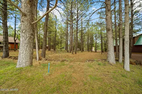 3194 Viking Trl, Pinetop, AZ 85935