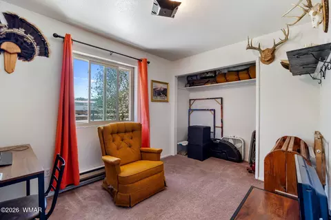 Other - 274 E 6th St, Eagar, AZ 85925 photo 8 of 12