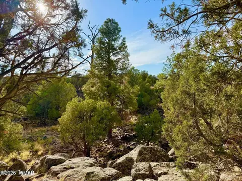 1838 Rocky Bottom Pl, Show Low, AZ 85901