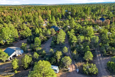 View/Area - 3161 Trails End, Overgaard, AZ 85933 photo 2 of 3