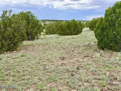 108 Co Rd 8127 Rd, Concho, AZ 85924 photo 14