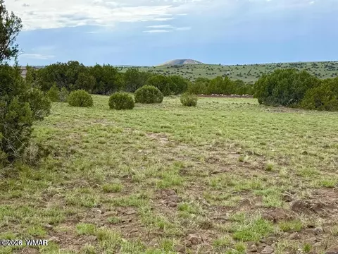 108 Co Rd 8127 Rd, Concho, AZ 85924 photo 13