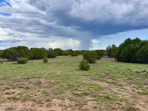 108 Co Rd 8127 Rd, Concho, AZ 85924 photo 7