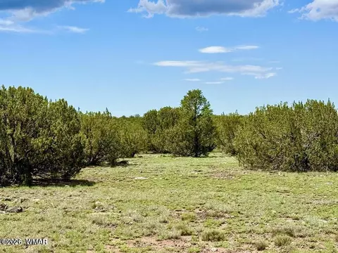108 Co Rd 8127 Rd, Concho, AZ 85924 photo 12