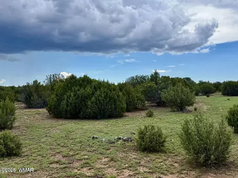 108 Co Rd 8127 Rd, Concho, AZ 85924 photo 3