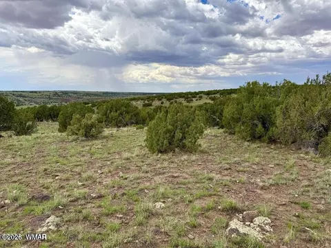 108 Co Rd 8127 Rd, Concho, AZ 85924 photo 9
