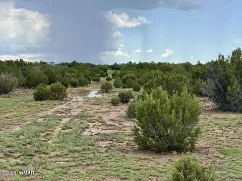 108 Co Rd 8127 Rd, Concho, AZ 85924 photo 4