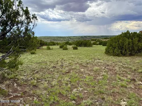 108 Co Rd 8127 Rd, Concho, AZ 85924 photo 8