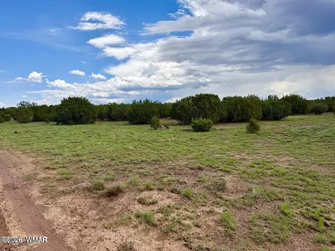 108 Co Rd 8127 Rd, Concho, AZ 85924 photo 5