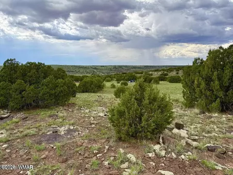 108 Co Rd 8127 Rd, Concho, AZ 85924 photo 10