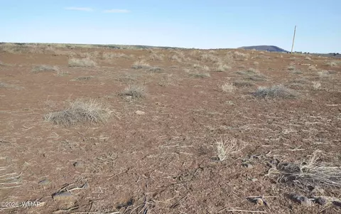 66 5129, Concho, AZ 85924 photo 6