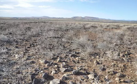 66 5129, Concho, AZ 85924 photo 8