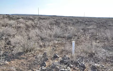 66 5129, Concho, AZ 85924 photo 9