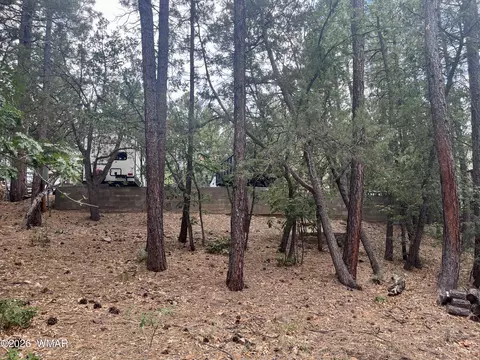 518 S Walnut Creek Loop, Pinetop, AZ 85935