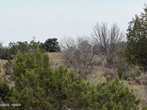 1037 Mira Rd # 6, Heber, AZ 85928