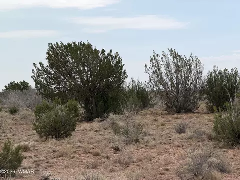 1037 Mira Rd # 6, Heber, AZ 85928