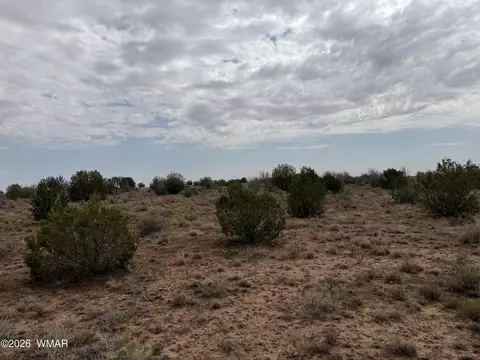 1037 Mira Rd # 6, Heber, AZ 85928