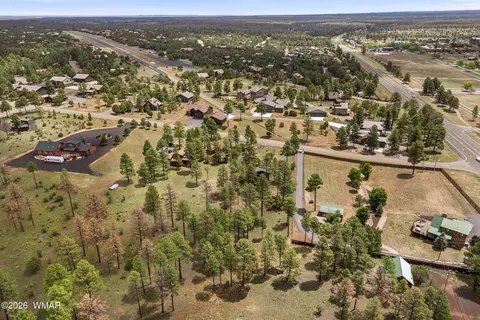 View/Area - 2746 Skyhawk Dr, Overgaard, AZ 85933 photo 6 of 7