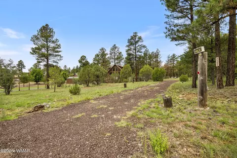 Exterior - 2746 Skyhawk Dr, Overgaard, AZ 85933 photo 13 of 13