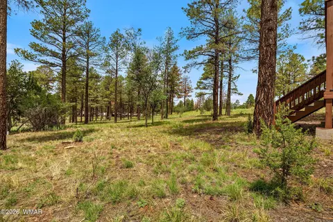 Exterior - 2746 Skyhawk Dr, Overgaard, AZ 85933 photo 12 of 13