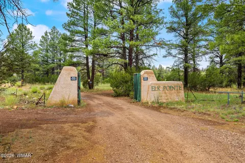 2333 Dovetail Trl, Overgaard, AZ 85933 photo 37