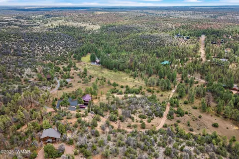 2333 Dovetail Trl, Overgaard, AZ 85933 photo 40