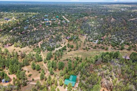 2333 Dovetail Trl, Overgaard, AZ 85933 photo 42